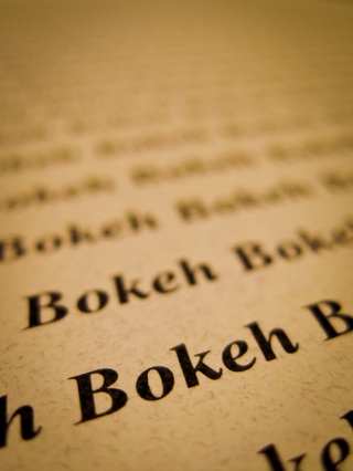 Illustration for article titled Shooting Challenge: Bokeh, Gallery 3